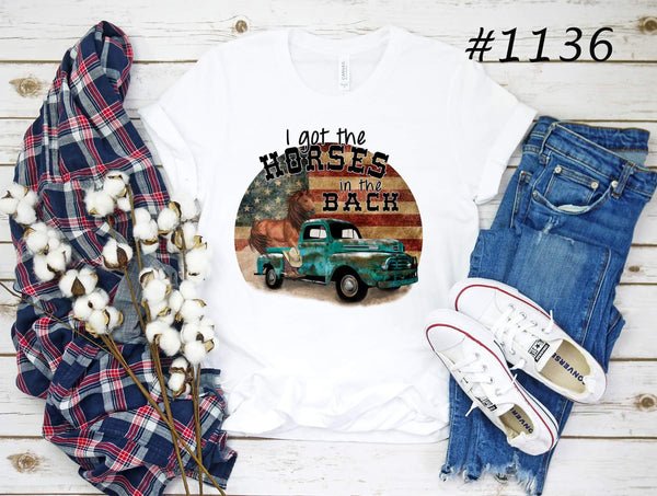 #1136 I Got The Horses In The Back/Colorful